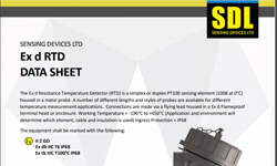 Ex d RTD